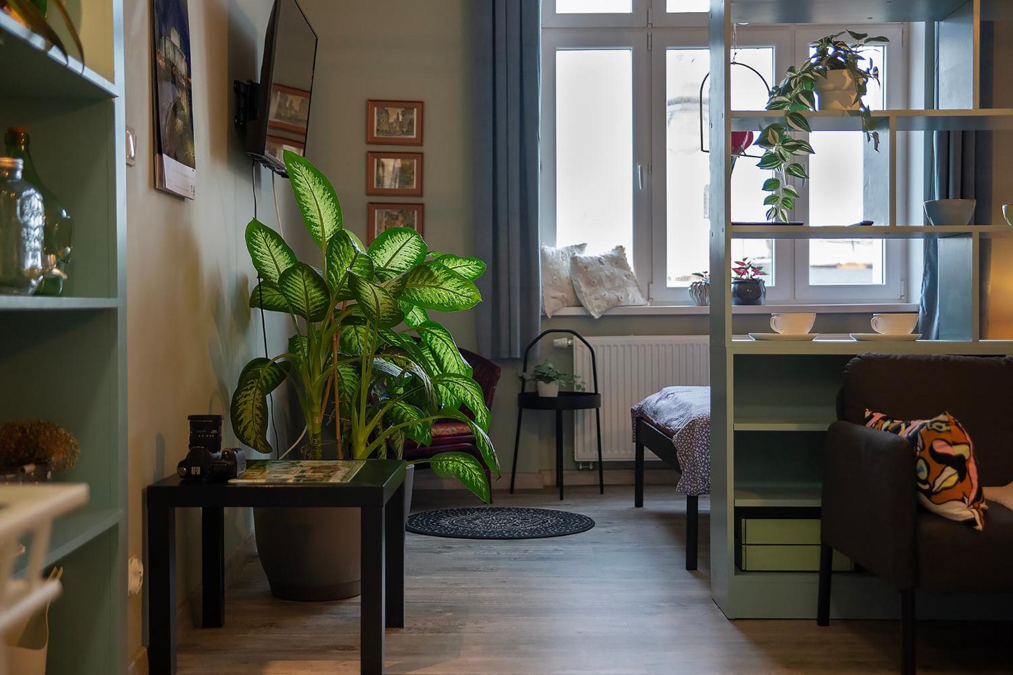 Apartament U Olechny 5 Bydgoszcz Extérieur photo